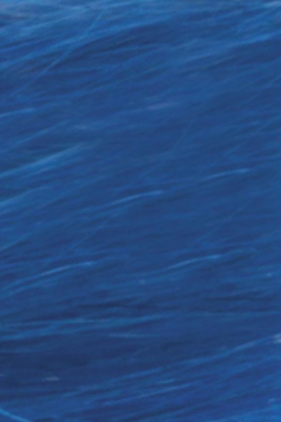Haartönung - Azure Blue