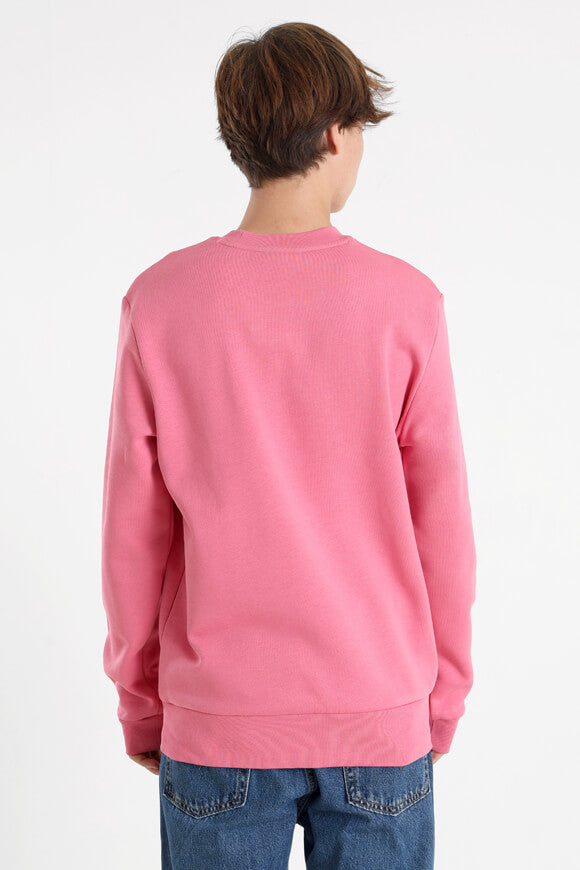 Sweatshirt - Reseda Pink