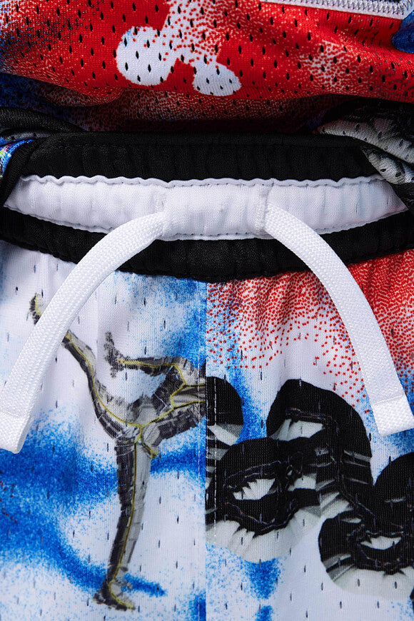 Pantaloncini a rete Diamond - Hyper Cobalt