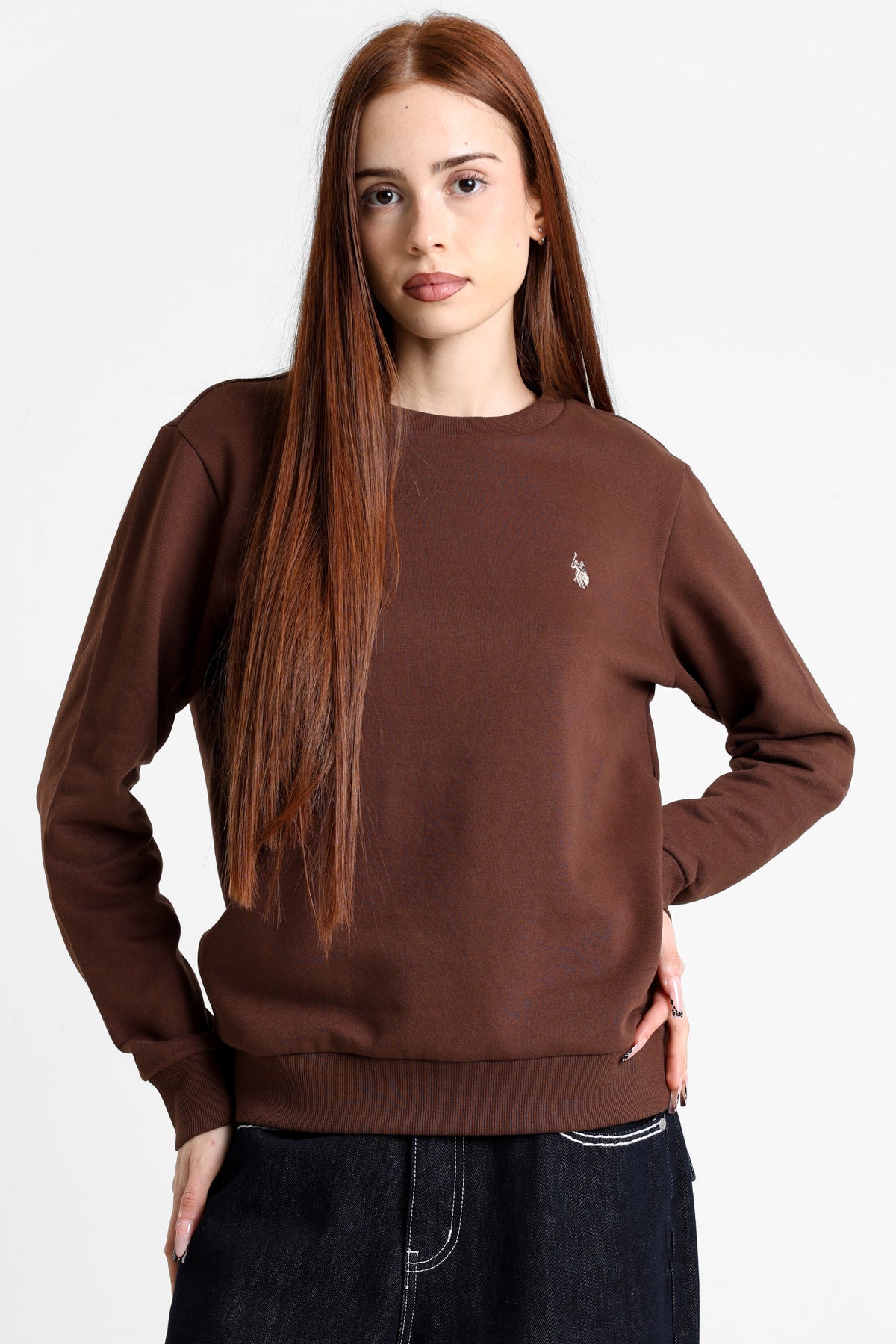Tefy Sweatshirt - Brown