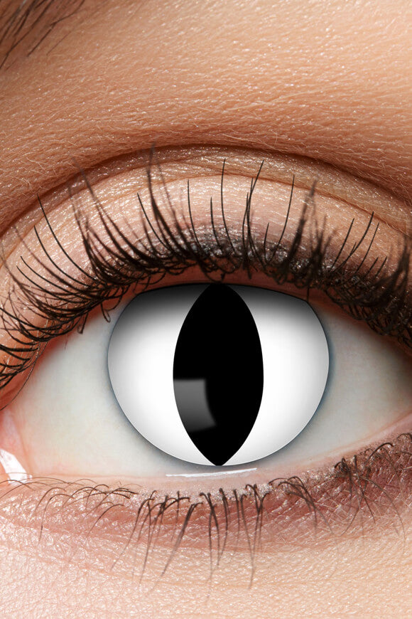 Lentilles de couleur - Blanc