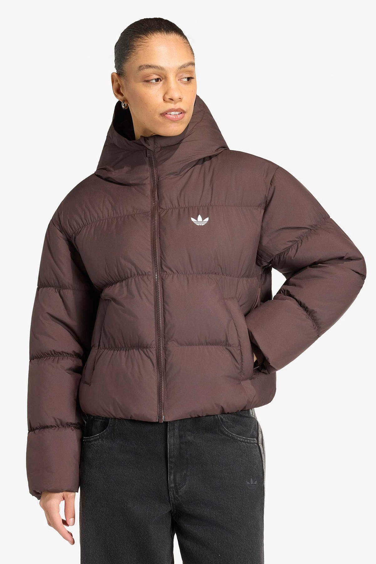 Pufferjacke - Aurora Coffee