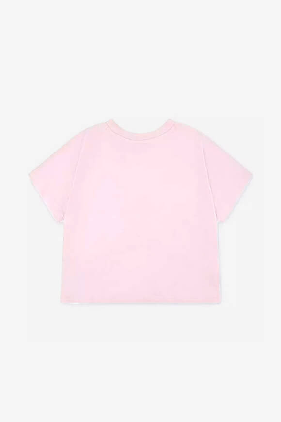 Hidden in Plain Sight Crop T-Shirt - Pink Foam