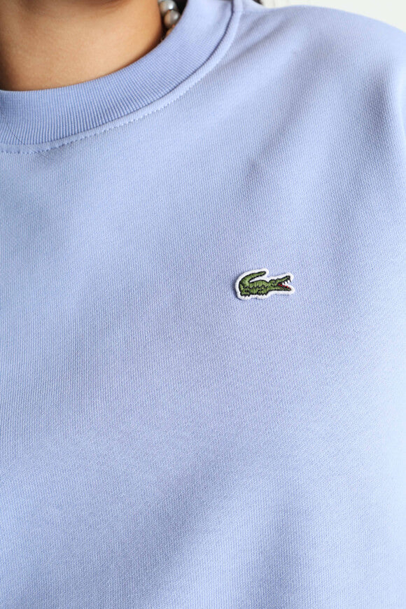 Oversize Sweatshirt - Delphinium