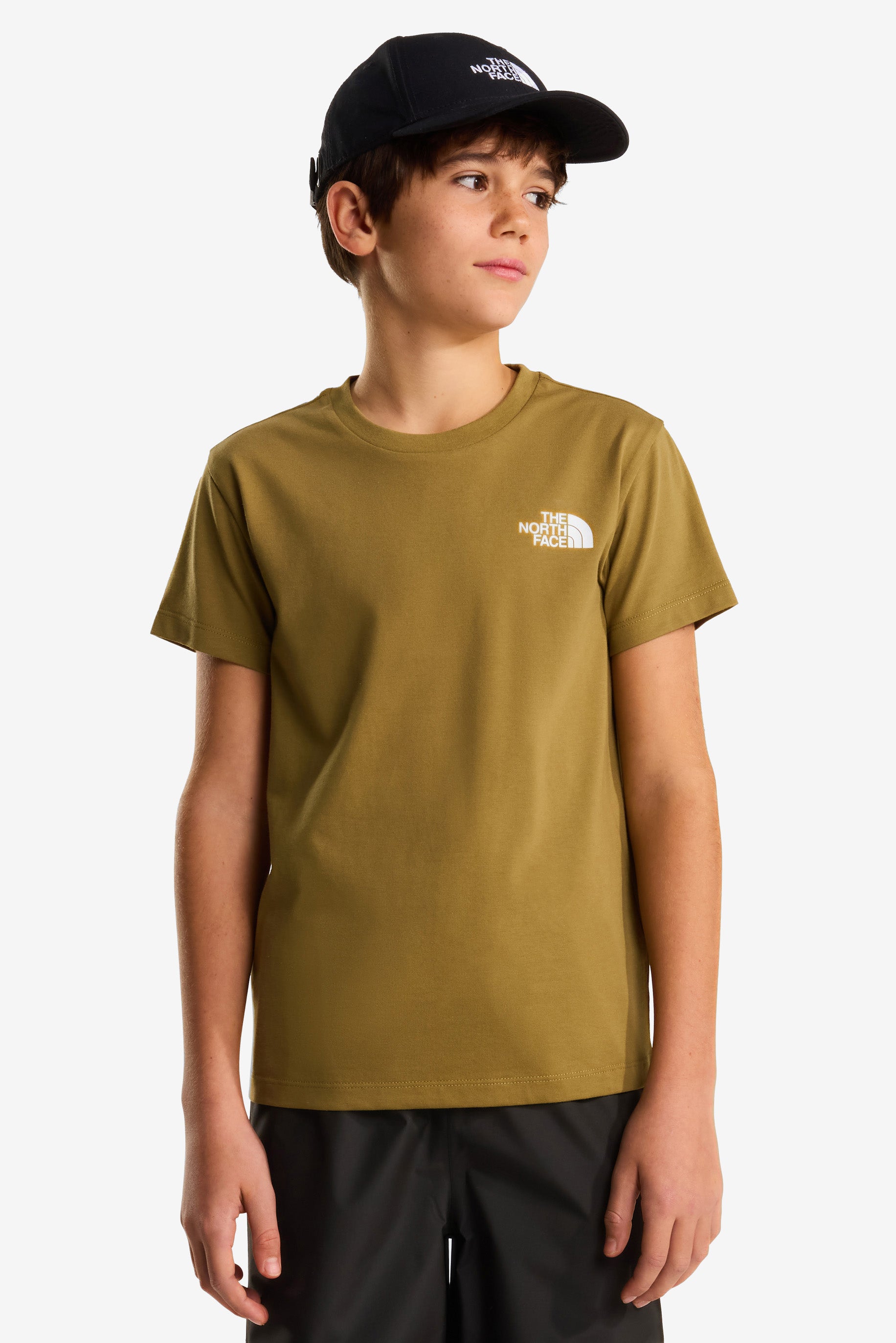 Simple Dome T-Shirt - Cedar