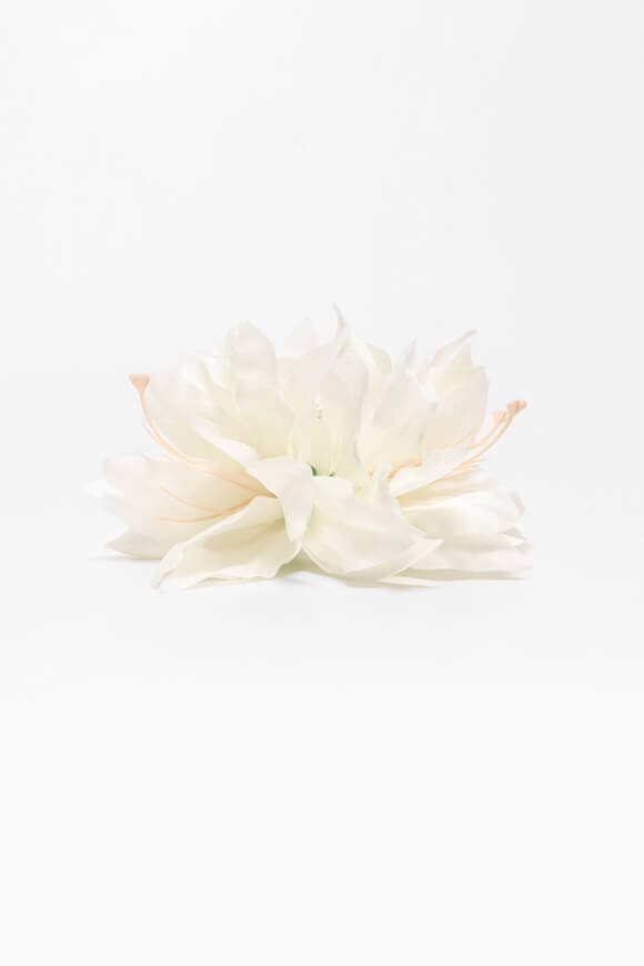 Haarklammer - White