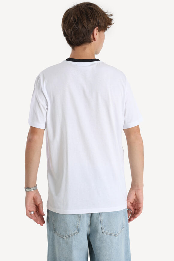 Arpa t-shirt - White + Birds Egg Green