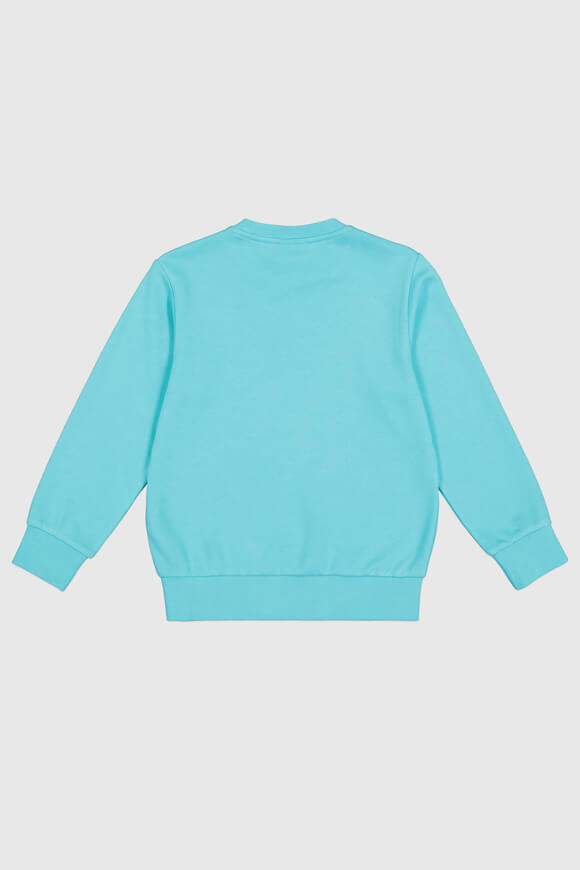 Sweatshirt - Aqua Blue