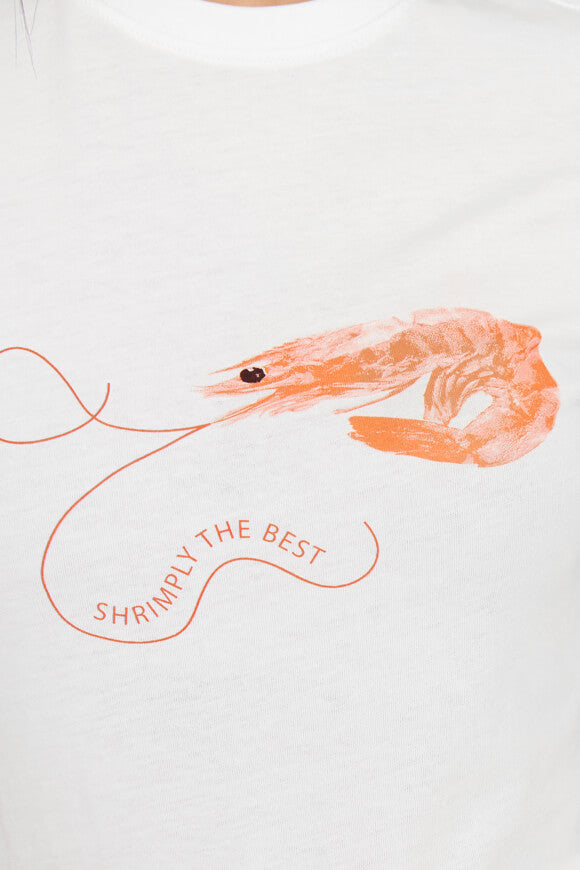 ONLKELLY Crop T-Shirt - Cloud Dancer