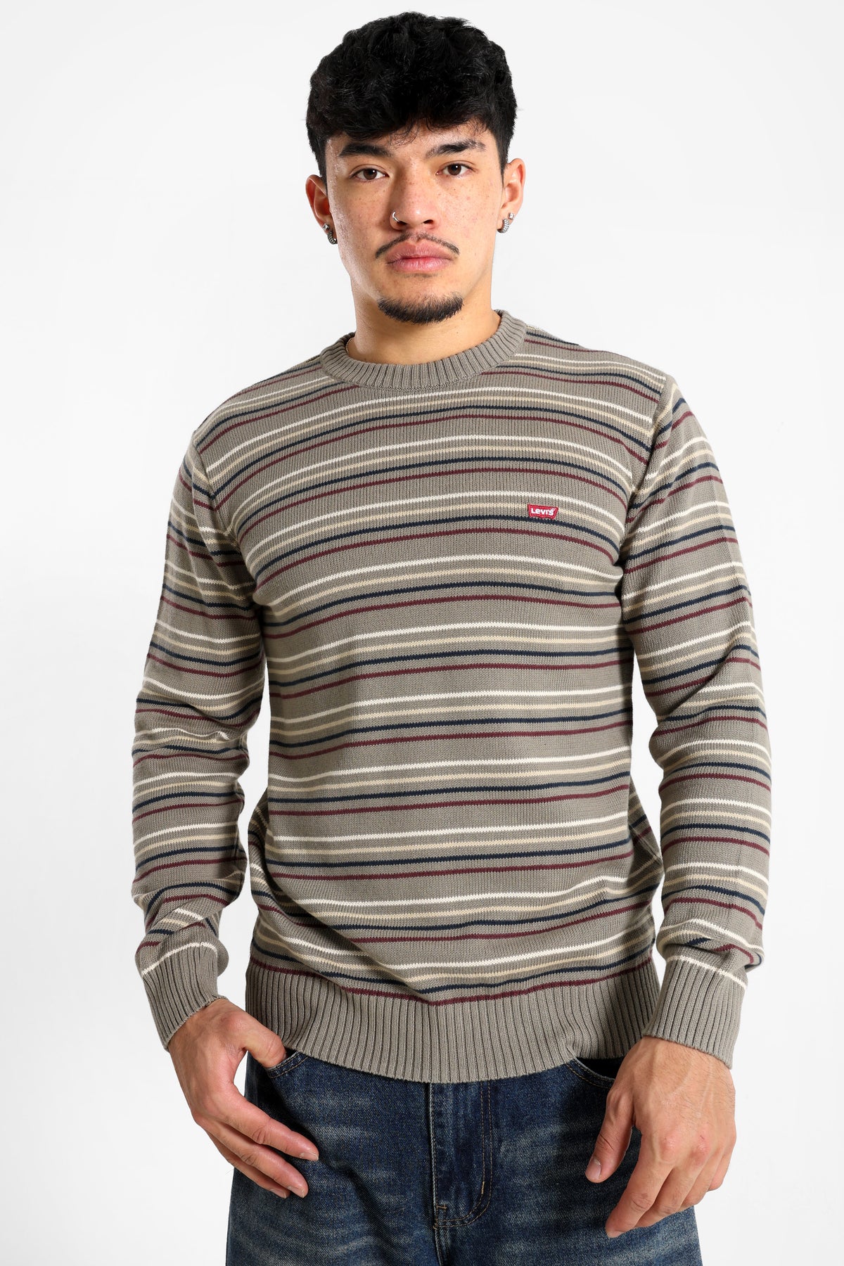Fine knit sweater - Daniel Stripe Brindle
