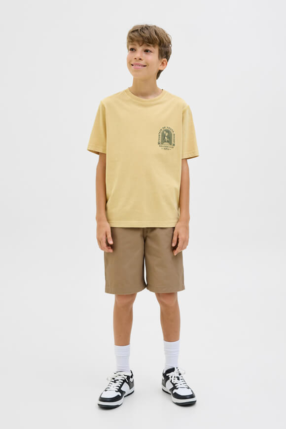 JPSTOWEN Chino Shorts - Elmwood