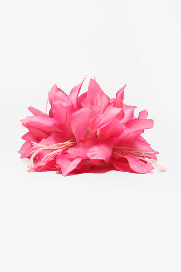 Haarklammer - Pink