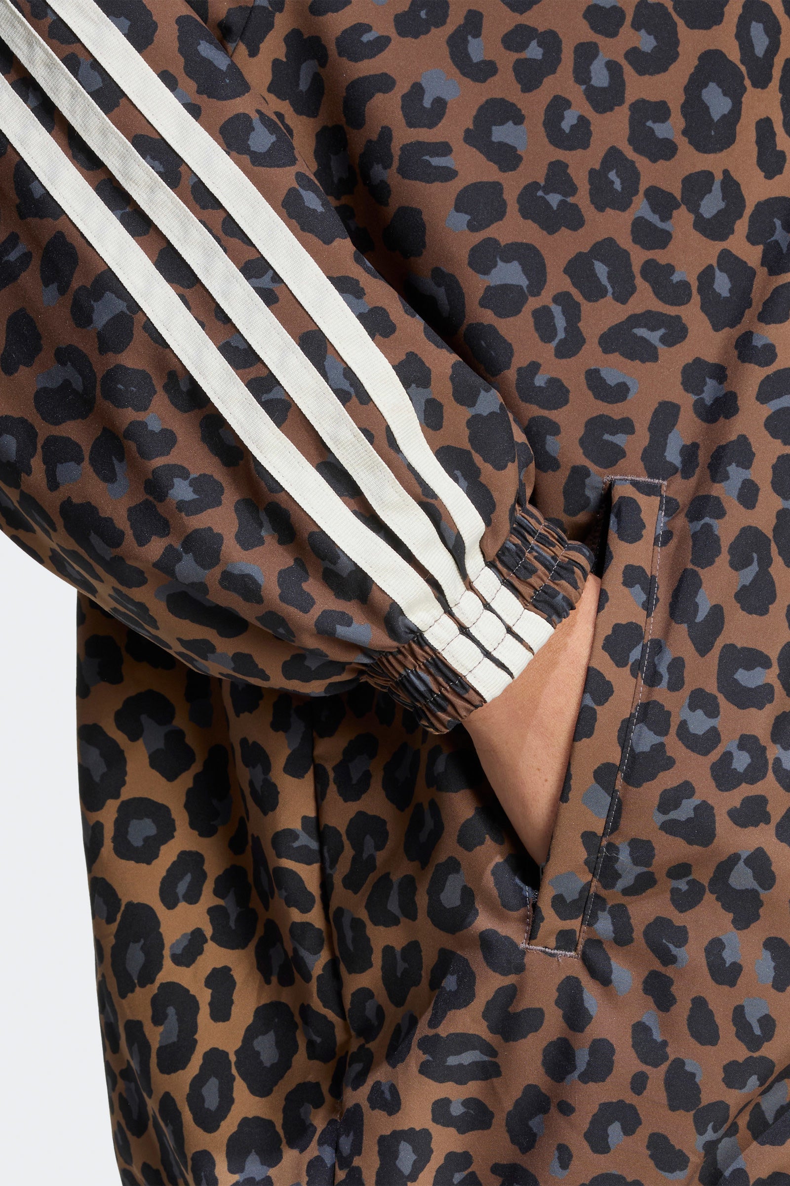 Firebird Leichte Jacke - Leo