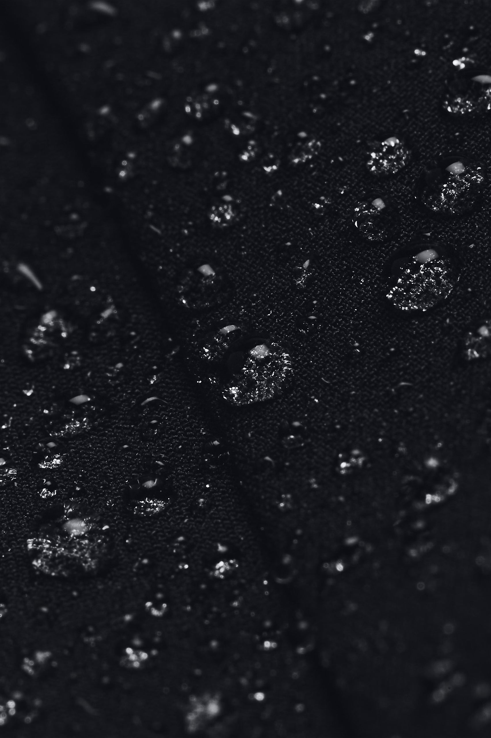 Windbreaker - Black