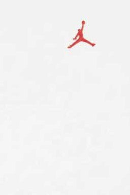 Jumpman Air Embroidered T-Shirt - Sail
