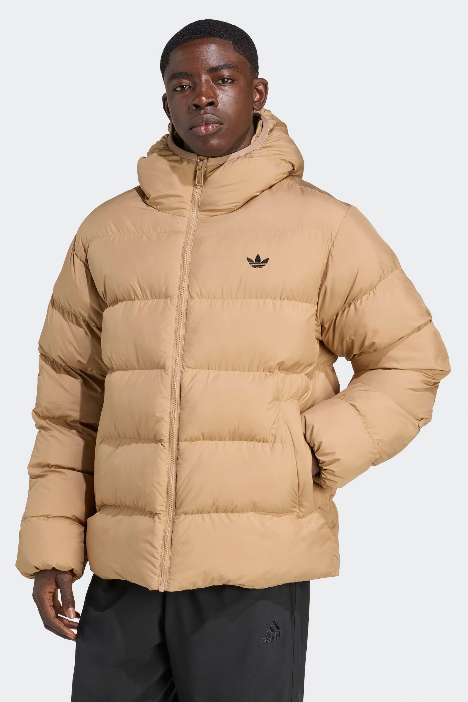 Veste tampon - Cardboard