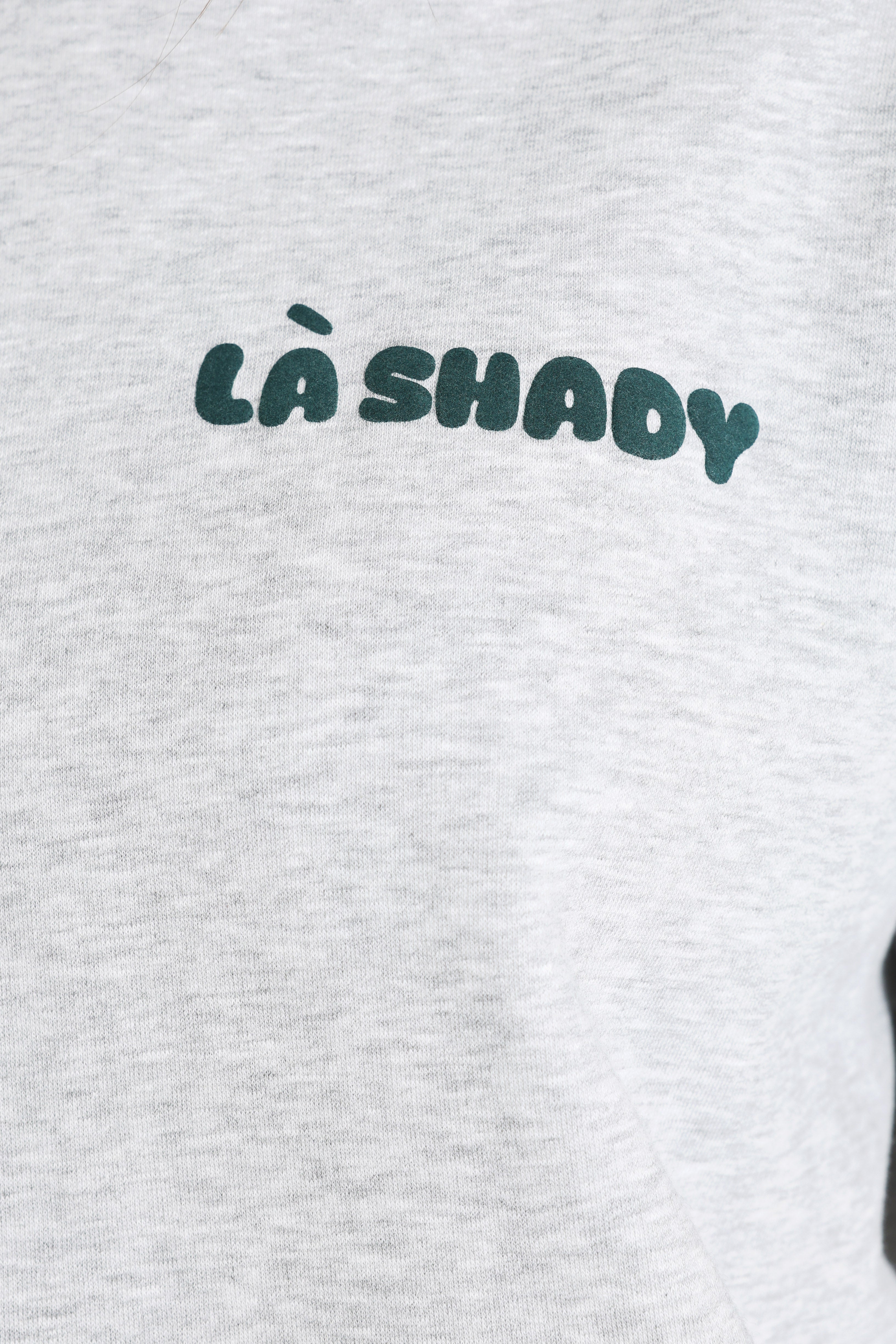 Kapuzensweatshirt - Grau