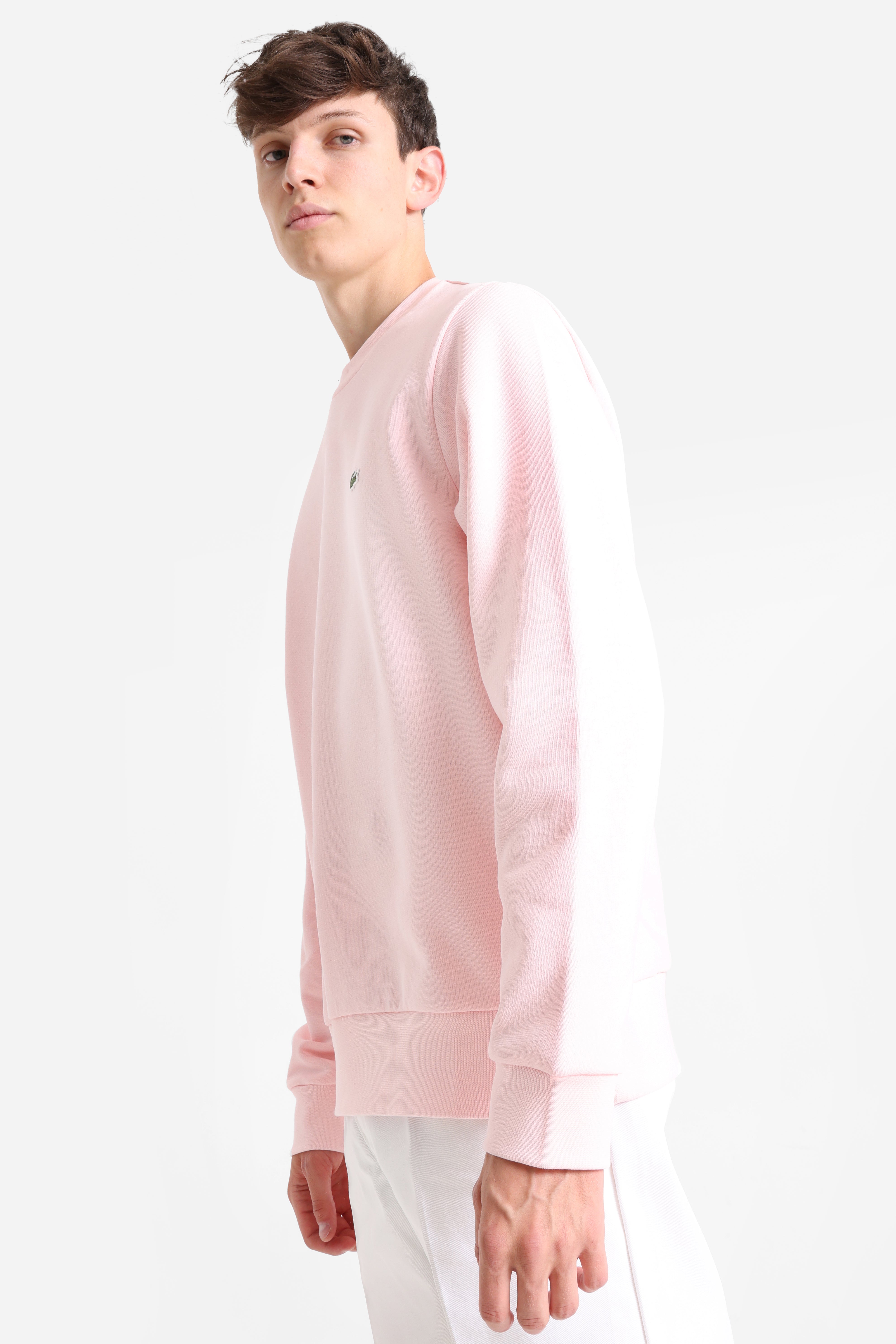 Sweatshirt - Flamingo