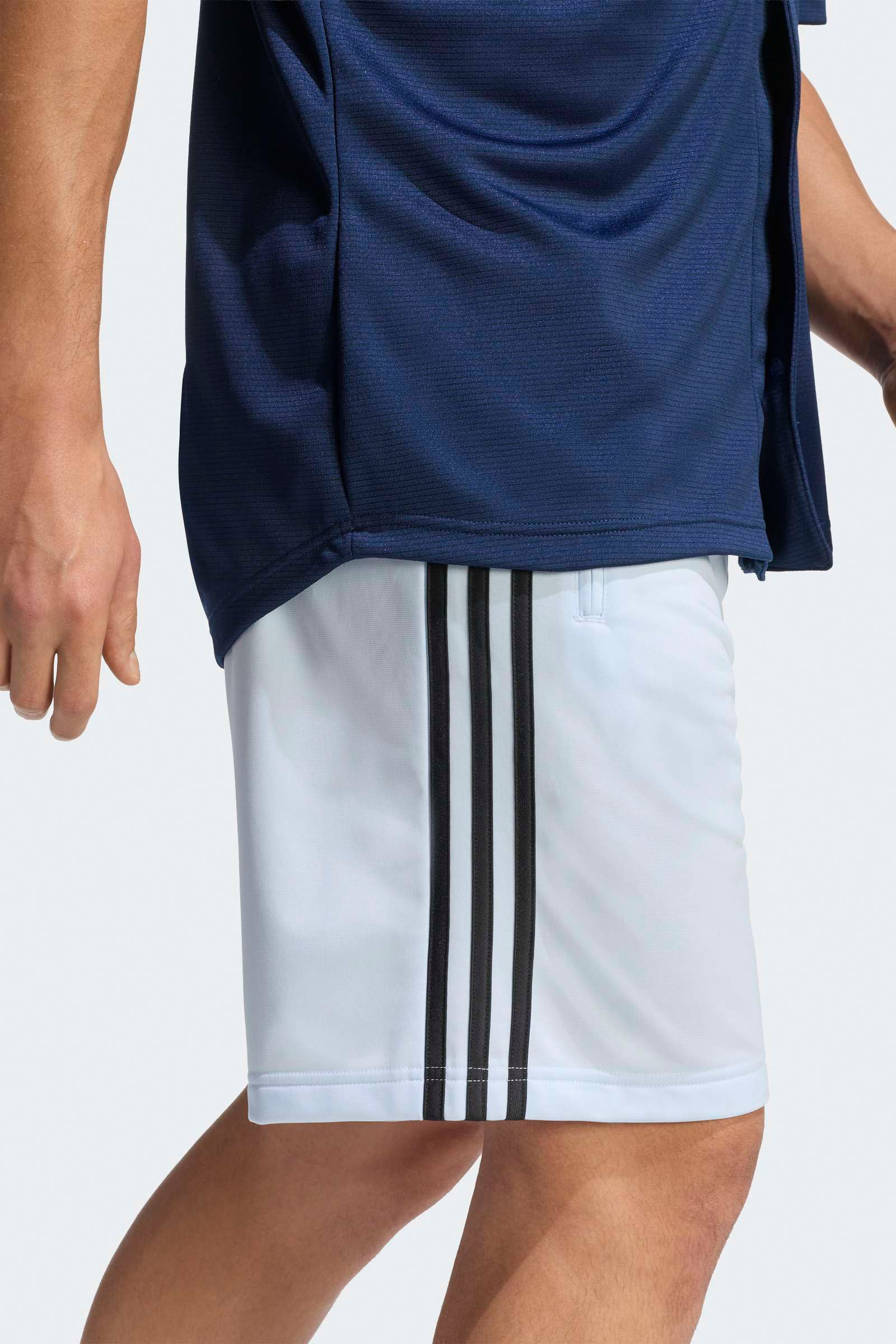 Firebird Trainingsshorts - Crystal Sky