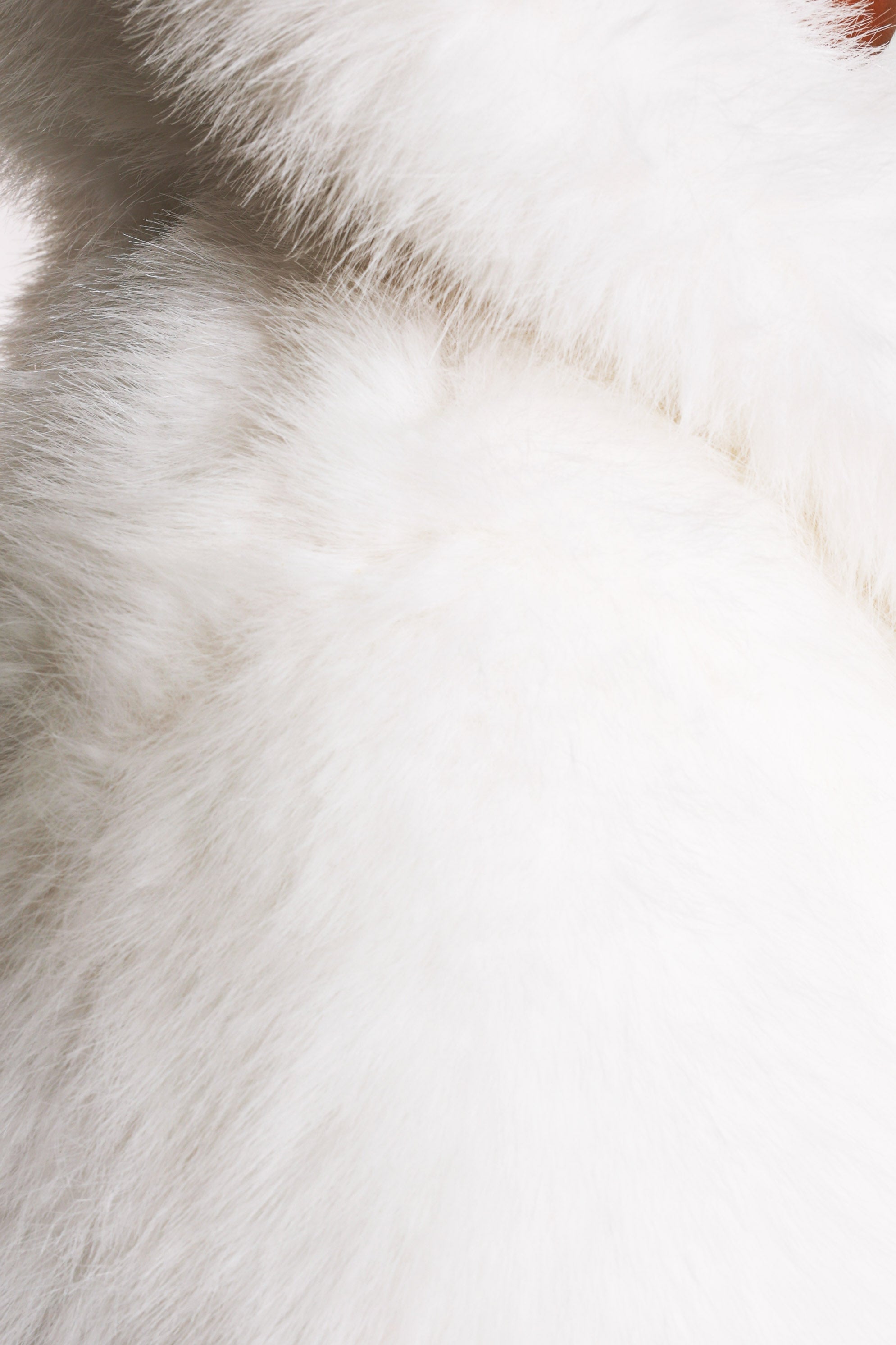Veste courte en fourrure synthétique - Blanc