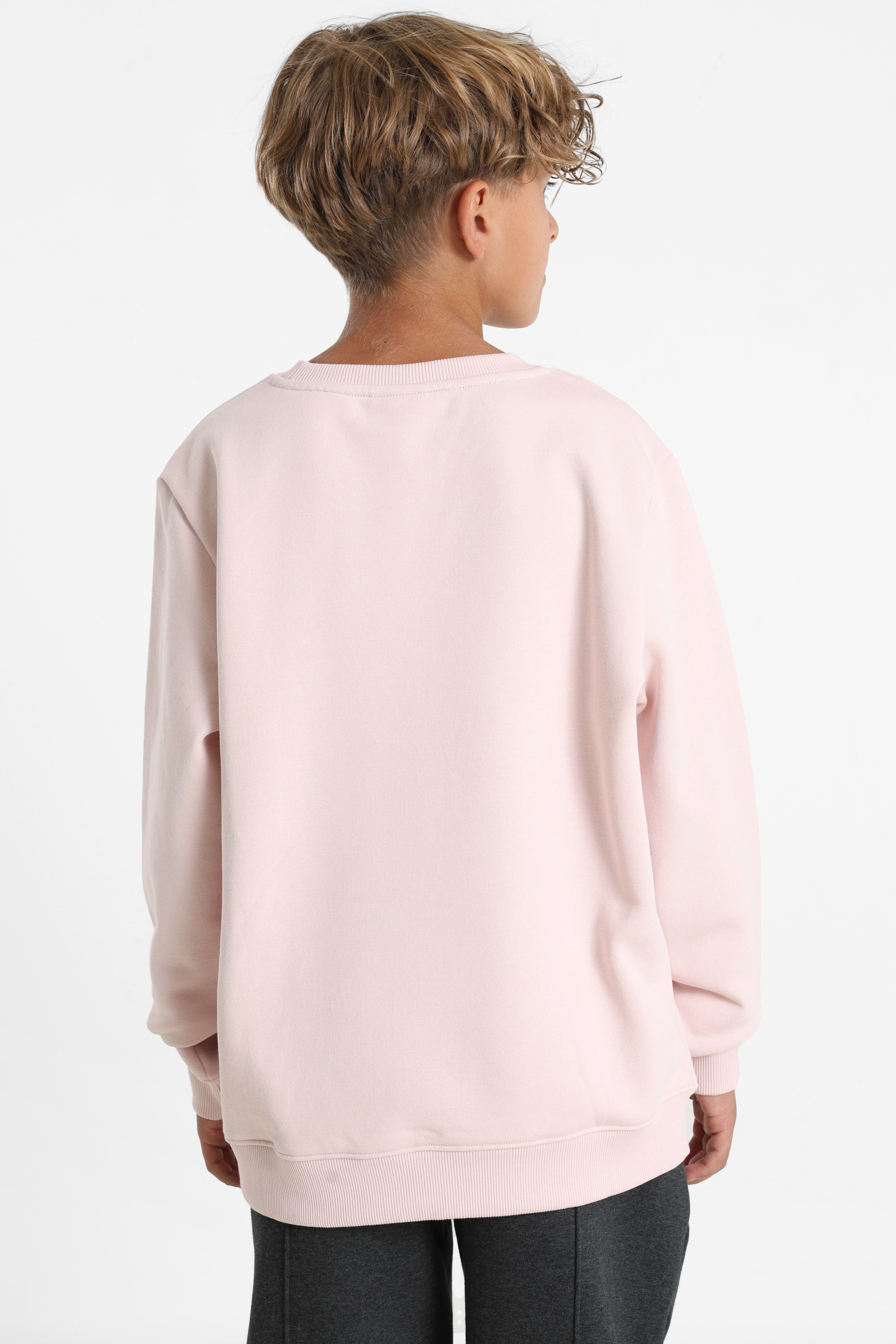 Sweatshirt - Light Pink
